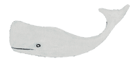 Distillerie Moby Dick
