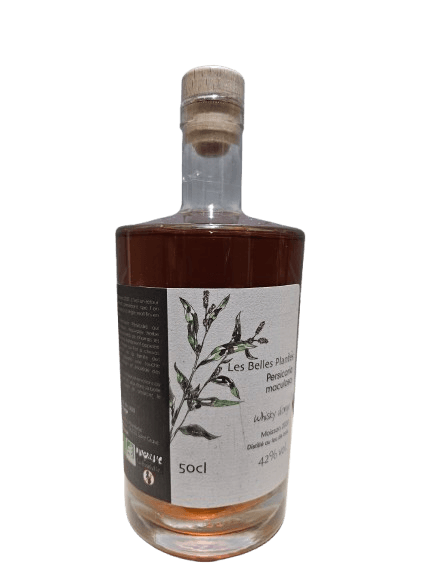 Whisky "Persicaria moculosa" 2020 50CL 42% *